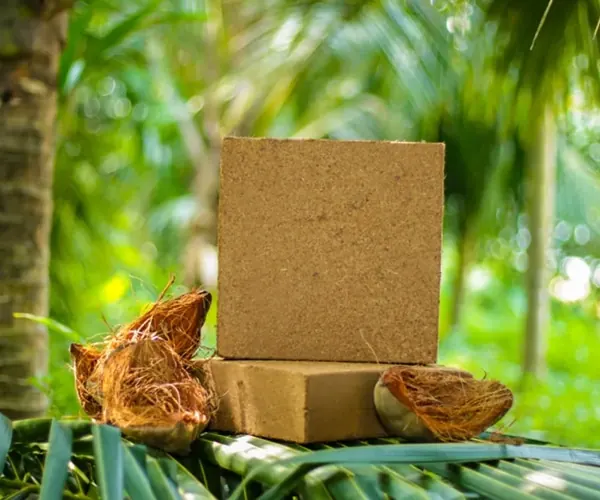 Coco - Peat 5kg Block