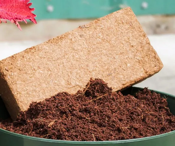 Coco Peat 650g Block