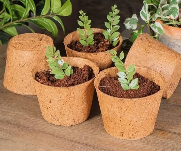Coir Fibre Garden Pot