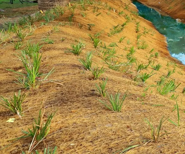 Coir Woven Geo Textile