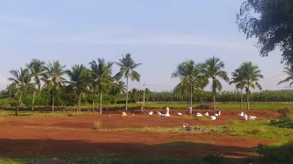Coirtron facility photo 6