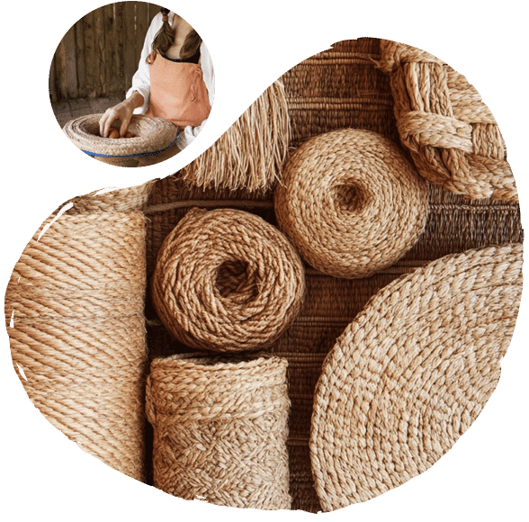 about-coir